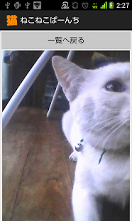 ねこねこぱーんち（猫カメラ） Screenshots 4