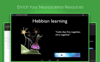 Neuroscience Basics poster 4