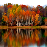 Brilliant Autumn Colors On The Lake by Gene Walls -  