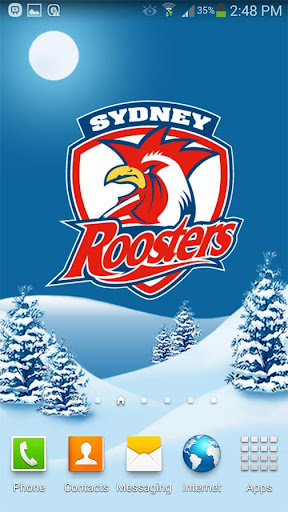 Sydney Roosters Snow Globe