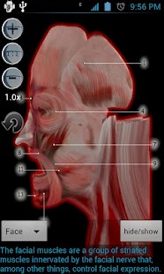 Visible Body | Atlas de Anatomía Humana para Windows Desktop