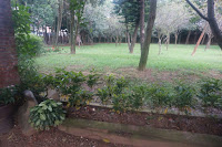 老爸的後花園餐廳 (已歇業)
