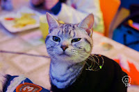 吉布德手工咖啡