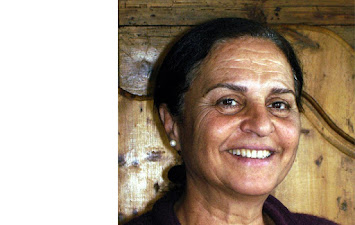 im schatten dess Feigenbaums-1.jpg