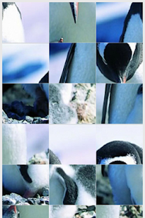 How to get Safari World Puzzle Game 1.17 unlimited apk for pc