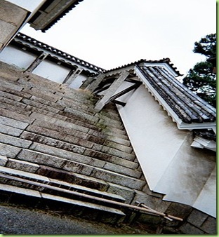 ap_20070814101033977