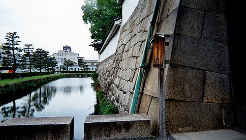 [ap_20070814114013395[5].jpg]