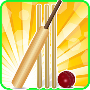 T20 Cricket Blast 2014 for PC and MAC