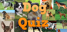 Dog Breeds Quiz by HyperDimSoft APK
