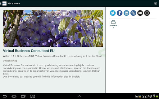 免費下載商業APP|Virtual Business Consultant EU app開箱文|APP開箱王