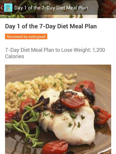 7 day Diet Plan Recipes