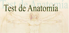 Test de Anatomía APK