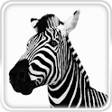Investec