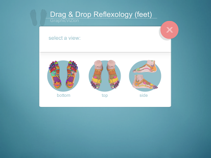 Lastest Drag&Drop Reflexology (foot) APK