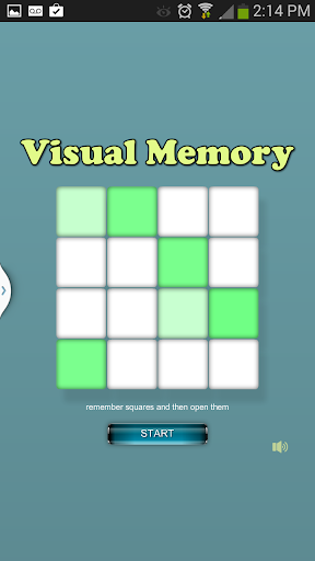 Visual Memory