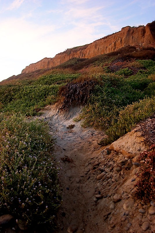 [cliff1[7].jpg]