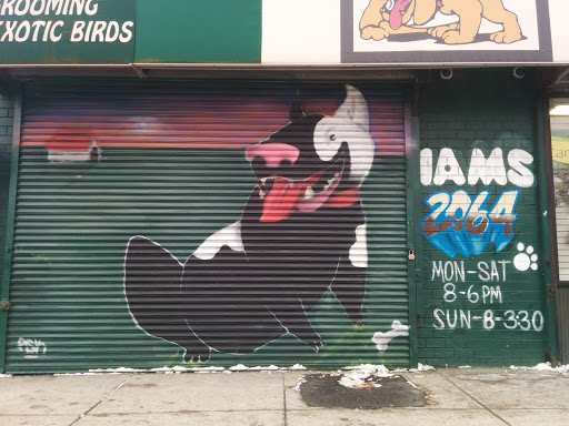 IAMS Dog Mural