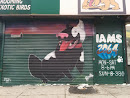 IAMS Dog Mural