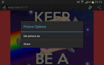 Keep Calm KITTY poster 6