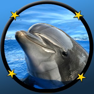 my baby loves dolphins.apk 2.0.0