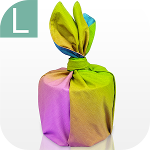 WrappingCloth.apk 1.2