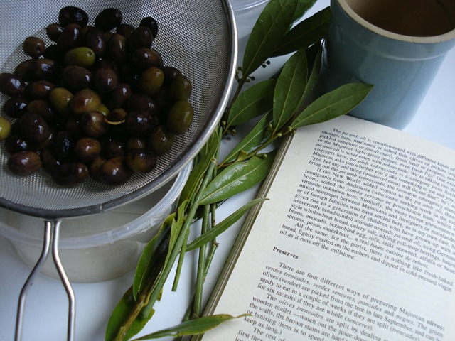 [preserving olives 1_1_1[2].jpg]