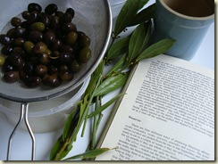 preserving olives 1_1_1