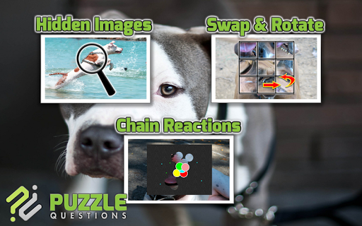 免費下載解謎APP|Pitbull Dog Puzzle Games app開箱文|APP開箱王