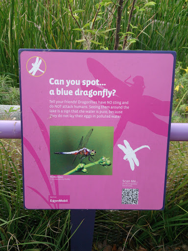 Blue Dragonfly Plaque