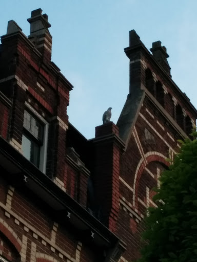 Stone Falcon on the Rooftop