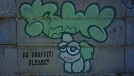 No Graffiti Please!