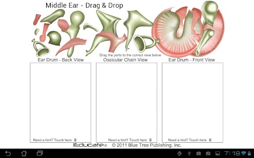 Middle Ear Drag Drop