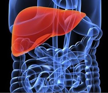 Lastest Liver Disease Info APK for PC