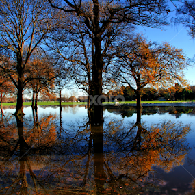 by Tim Bennett - City,  Street & Park City Parks
