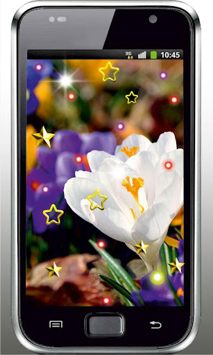 Spring Flowers live wallpaper