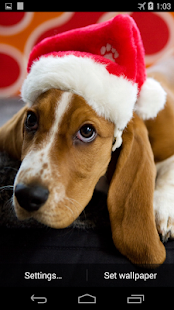 Christmas Dog Live Wallpaper Screenshots 1