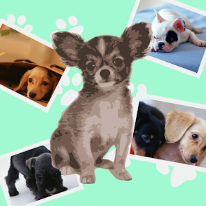 動物写真～いぬ～ 1.0.2