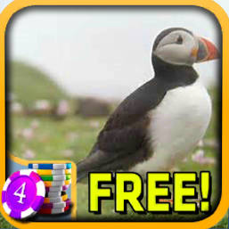 3d Puffin Slots