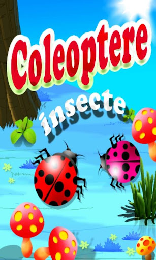 Insecte Coleoptere