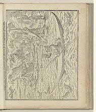 Figur des Wilden Manns und Weibs so in Engelland gebracht