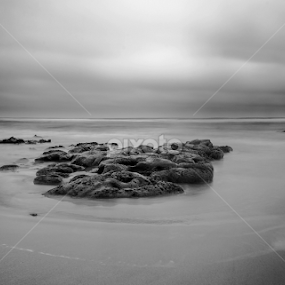 by Rémi Ferreira Nadais - Black & White Landscapes
