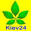 kiev24