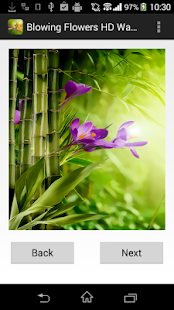 How to download Flower Wallpaper for whatsapp 1.1 unlimited apk for laptop