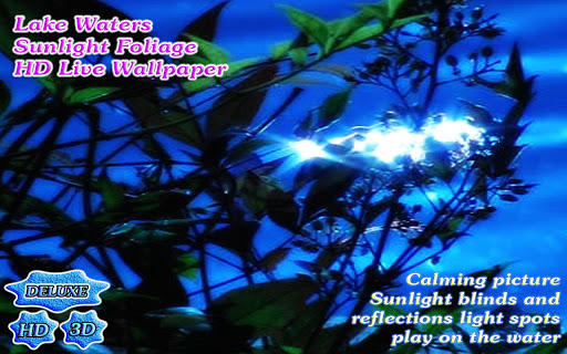 免費個人化App|Lake Waters Sunlight Foliage|阿達玩APP