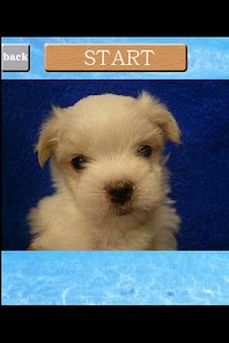 How to download puzzle(Dog) 1.0.3.2 mod apk for bluestacks