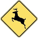 HD Deer Calls PRO