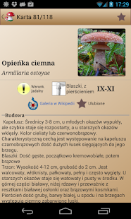 uF-Nu--Feta4JBvU6BX_R6M0t_KG26xHUrX6z4rFFI8d82UGnQ2xZQGmT1BteV9iLQ=h310