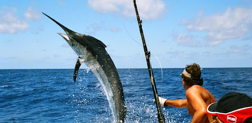 Download Fishing game(free) 1.6 apk Android