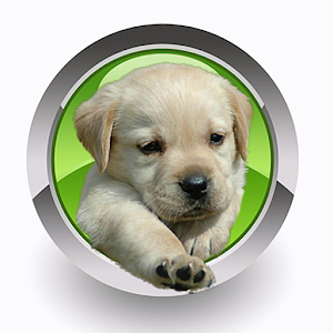 Homeopathy For Dogs.apk 1.0