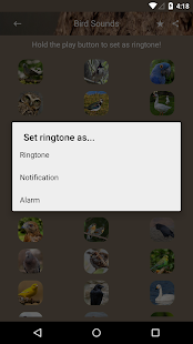 How to install Bird Sounds and Ringtones patch 1.2 apk for bluestacks